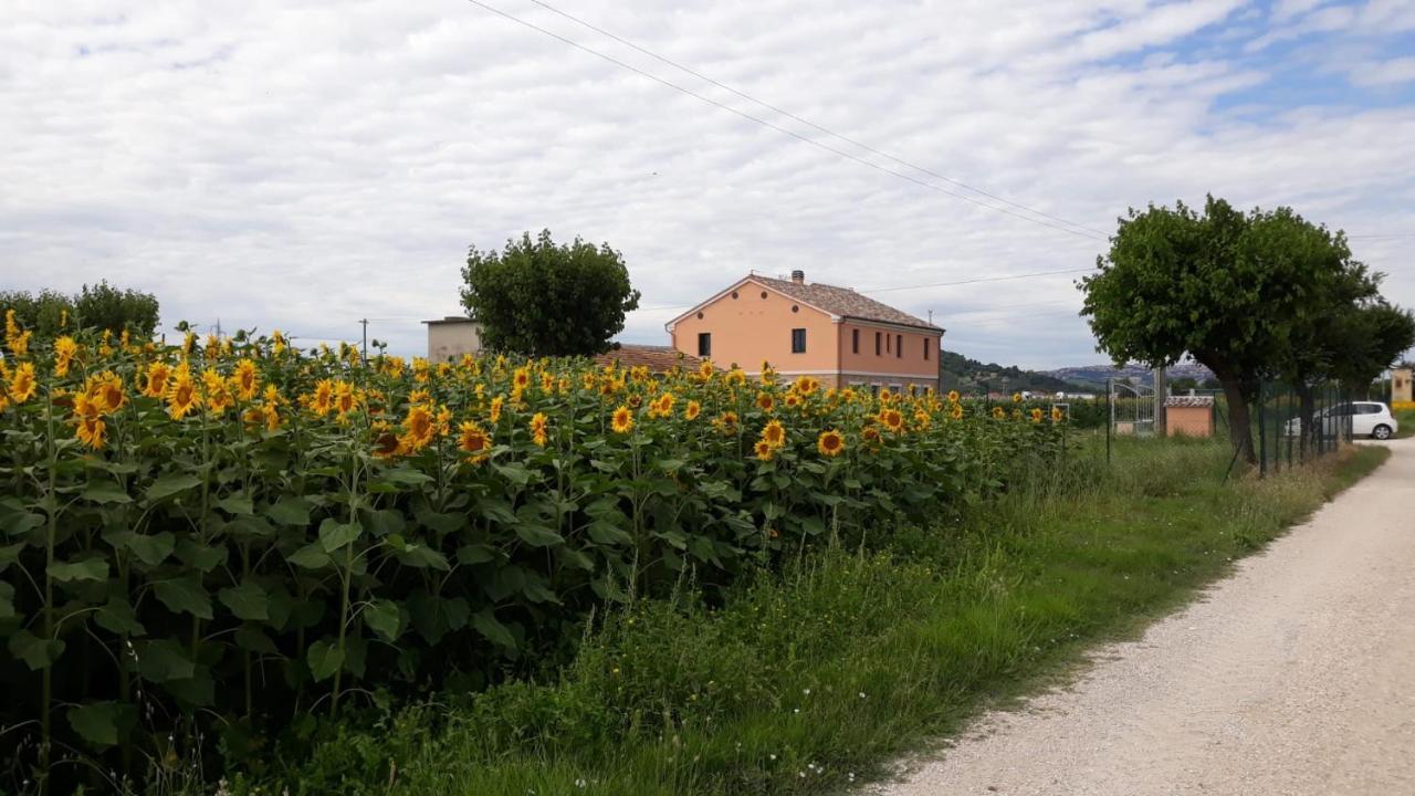 La Dolce Vita Porto Recanati Exterior photo